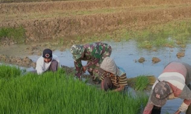 Galeri Kodim 579 Galeri Kodim 574