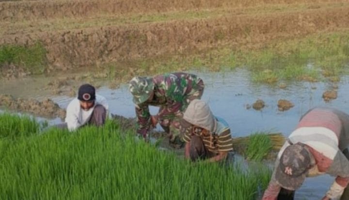 Galeri Kodim 576 Galeri Kodim 571