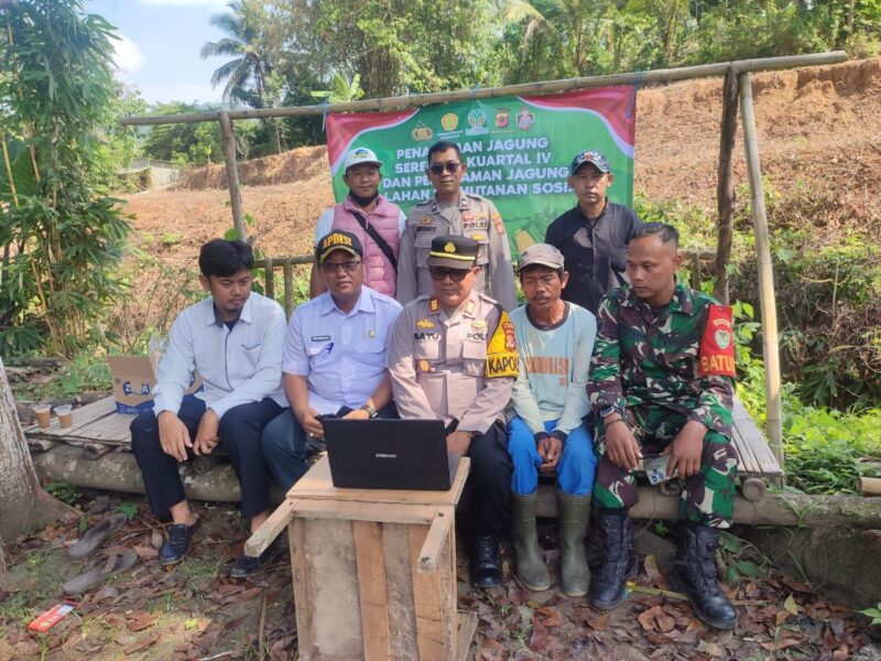 Babinsa Koramil 2201/Cisolok Hadiri Peresmian Lahan Penanaman Jagung di Desa Pasir Baru 8