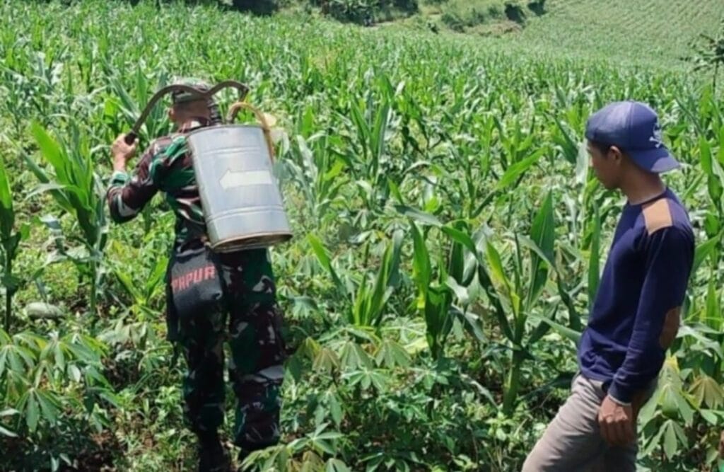 Galeri Kodim 548 Galeri Kodim 543