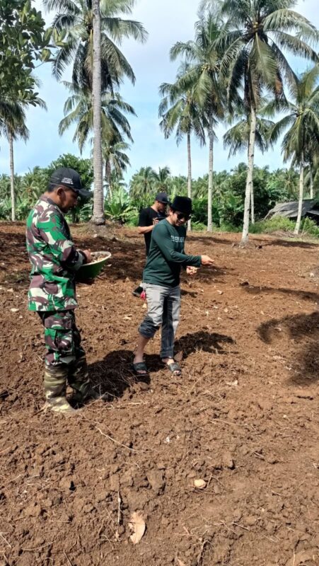 Babinsa Koramil 2214/Surade Tanam Bibit Jahe Bersama Komisi III DPRD Kabupaten Sukabumi 8