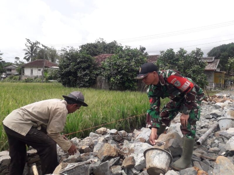 Babinsa Koramil 2213/Jampangkulon Dampingi Kegiatan Hanpangan Bersama Kelompok Tani 1 Babinsa Koramil 2213/Jampangkulon Dampingi Kegiatan Hanpangan Bersama Kelompok Tani