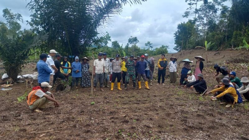 Babinsa Koramil 2210/Pabuaran Dukung Ketahanan Pangan Melalui Penanaman Padi Gogo 9