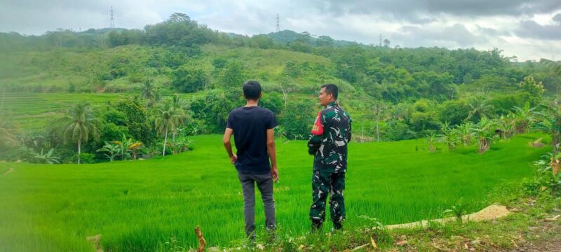 Babinsa Koramil 2203/Warungkiara Dampingi Kegiatan Ketahanan Pangan di Desa Ubrug 1