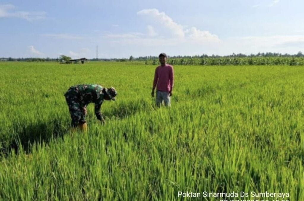 Galeri Kodim 381 Galeri Kodim 379