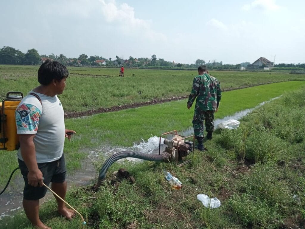 Galeri Kodim 367 Galeri Kodim 365