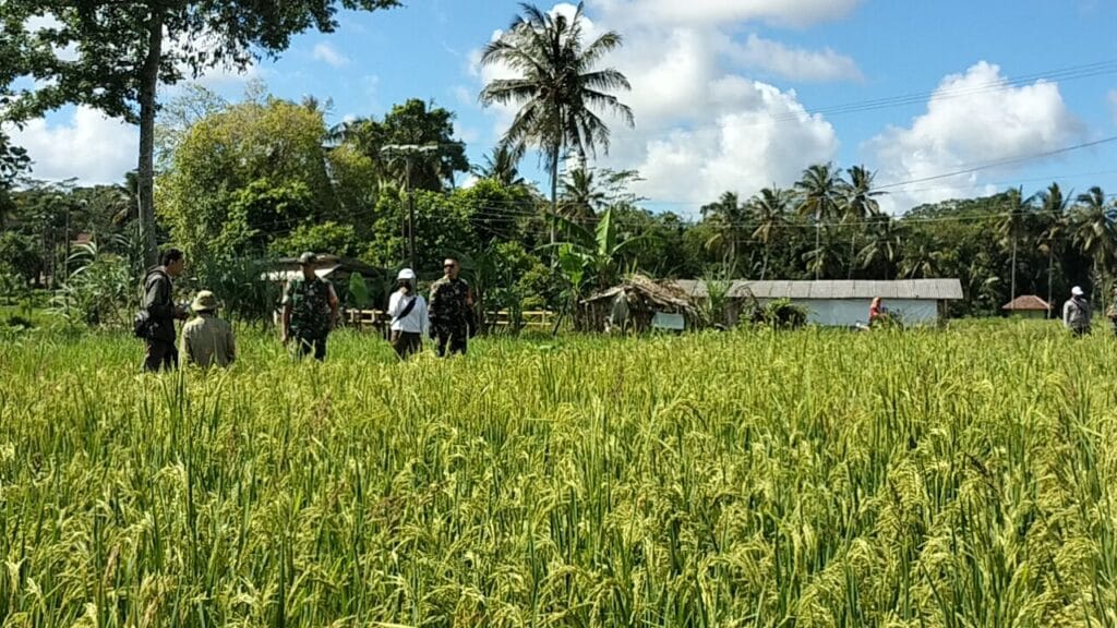 Galeri Kodim 308 Galeri Kodim 306