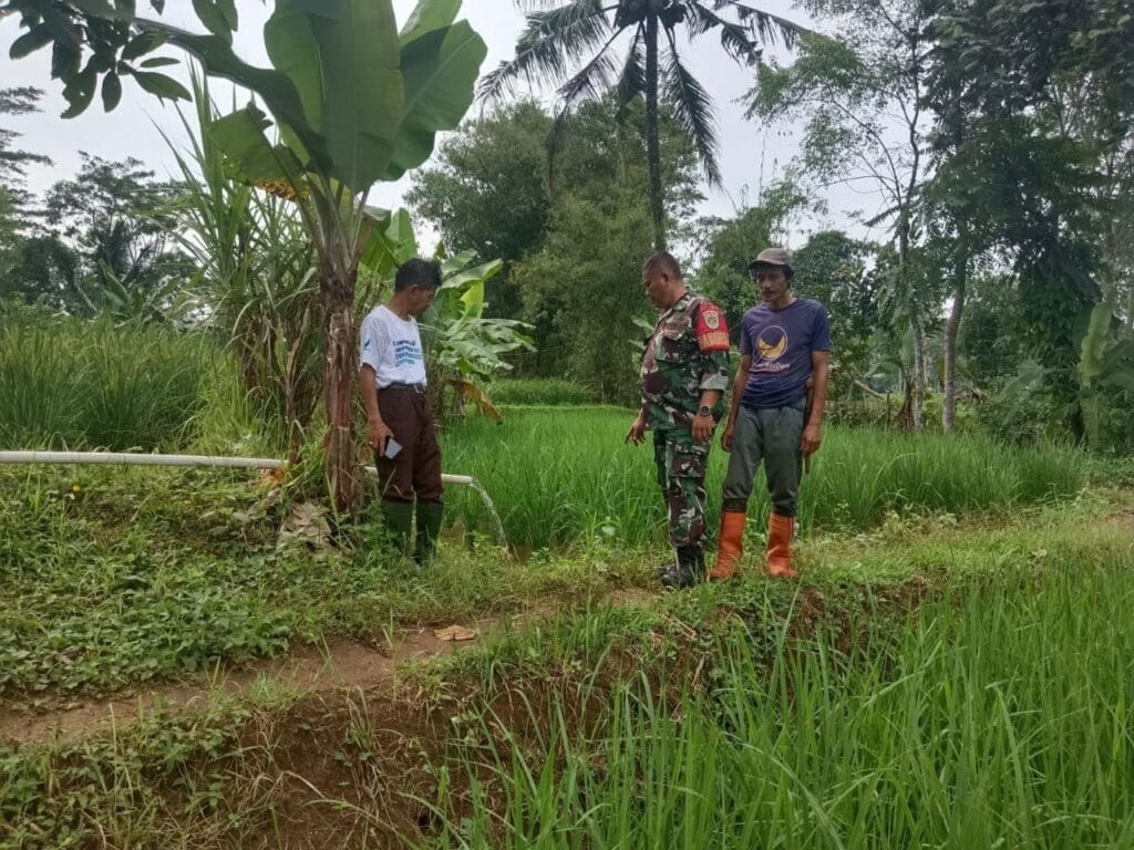 Galeri Kodim 260 Galeri Kodim 259