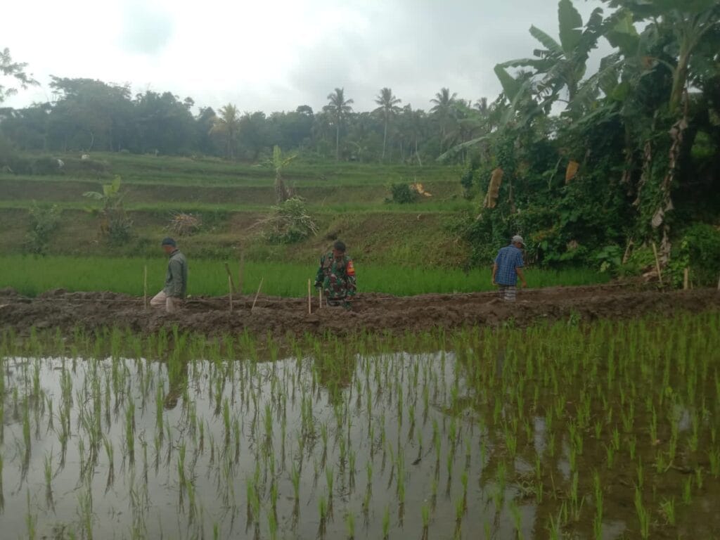 Galeri Kodim 238 Galeri Kodim 237