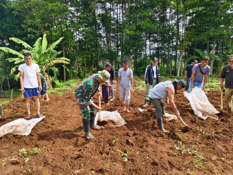 Babinsa Koramil 2206/Parakansalak Giat Puldatater Desa Sukatani 8