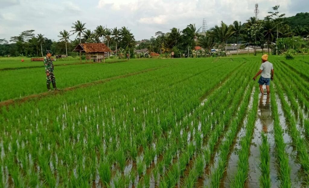 Galeri Kodim 217 Galeri Kodim 216