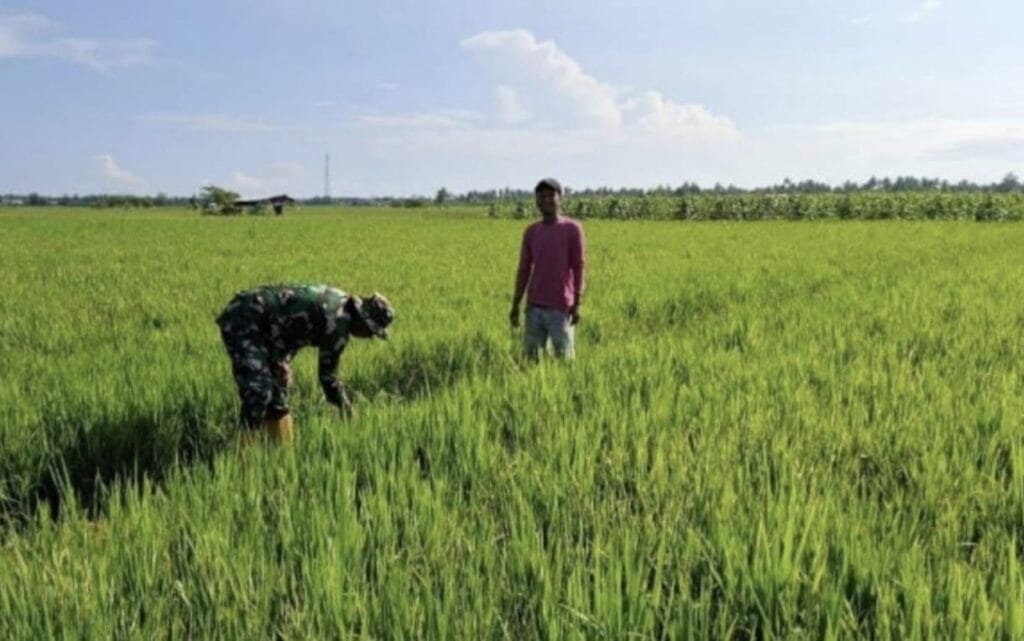 Galeri Kodim 204 Galeri Kodim 203