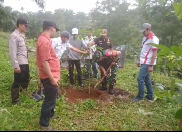 Danramil 2206/Parakansalak Hadiri Giat Penanaman 10.000 Pohon Palem 6