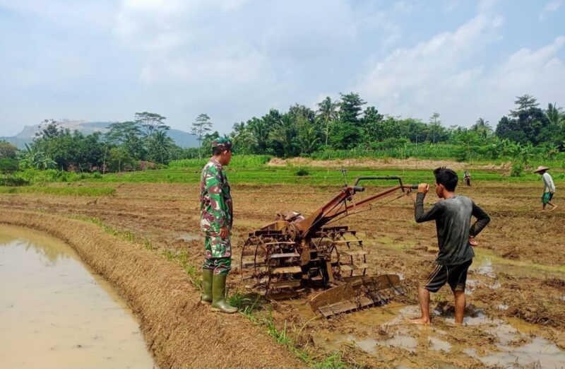 Babinsa Koramil 2207/Jampang Tengah Dampingi Giat Ketahanan Pangan 4