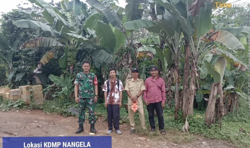 Babinsa Koramil 2212/Tegalbuleud Dampingi PPL Cek Kesiapan Lahan Koperasi Desa Merah Putih 3