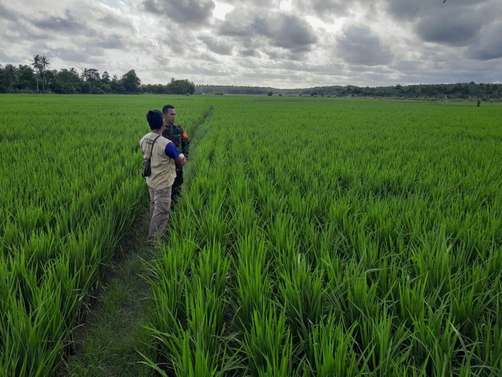 Galeri Kodim 132 Galeri Kodim 131