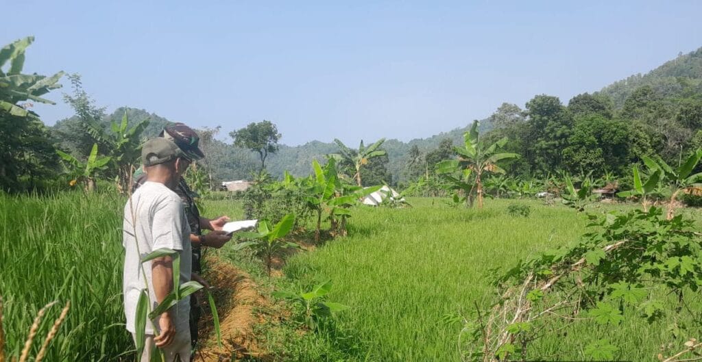 Galeri Kodim 3 Galeri Kodim 2