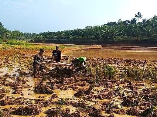 Babinsa Koramil 2207/Jampang Tengah Laksanakan Pendampingan Hanpangan 11