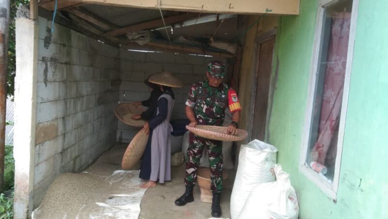 Babinsa Koramil 2205/Kalapanunggal Laksanakan Pendampingan Ketahanan Pangan 2