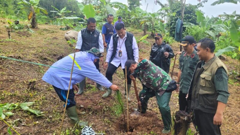 Babinsa Koramil 2201/Cisolok Laksanakan Penanaman Pohon Bersama Forkopincam dan Aparatur Desa 2