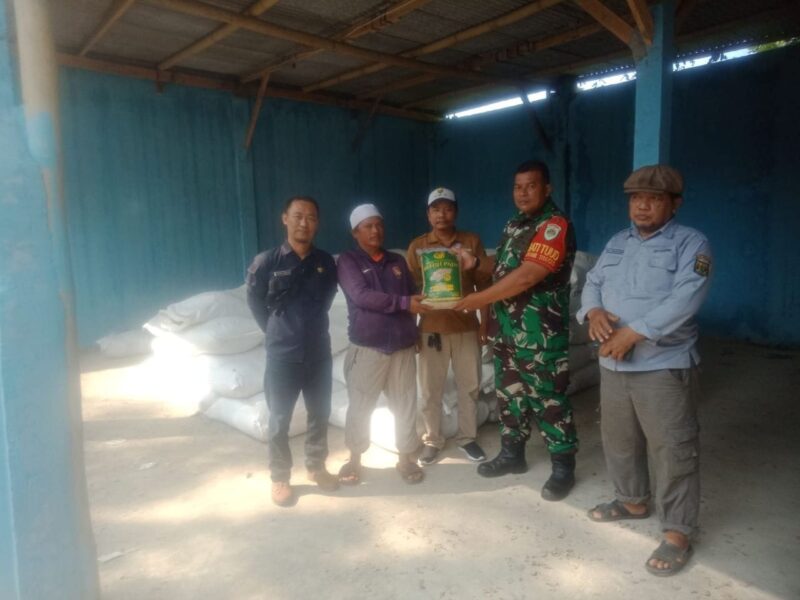 Babinsa Koramil 2204/Cikidang melaksanakan pendampingan kegiatan penyuluhan pertanian sekaligus distribusi bantuan benih padi kepada kelompok tani 1 Babinsa Koramil 2204/Cikidang melaksanakan pendampingan kegiatan penyuluhan pertanian sekaligus distribusi bantuan benih padi kepada kelompok tani