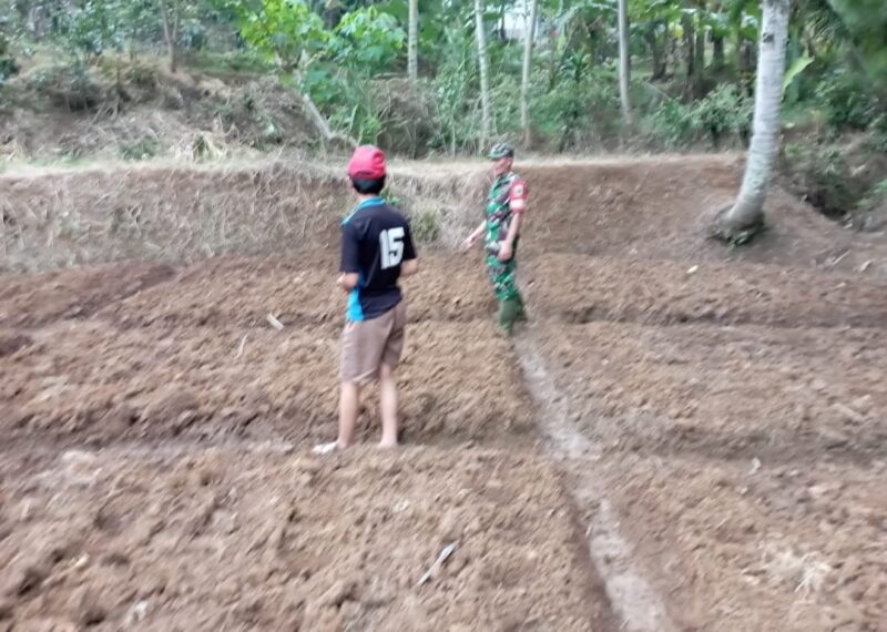 Babinsa Koramil 2209/Lengkong Dampingi Kegiatan Ketahanan Pangan 9