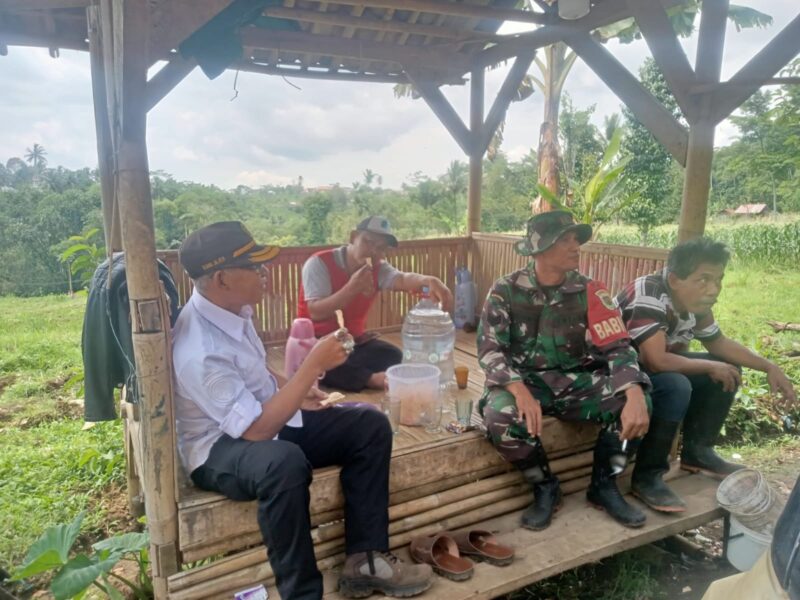 Babinsa Koramil 2206/Parakansalak Dampingi Ketahanan Pangan di Desa Bojongasih