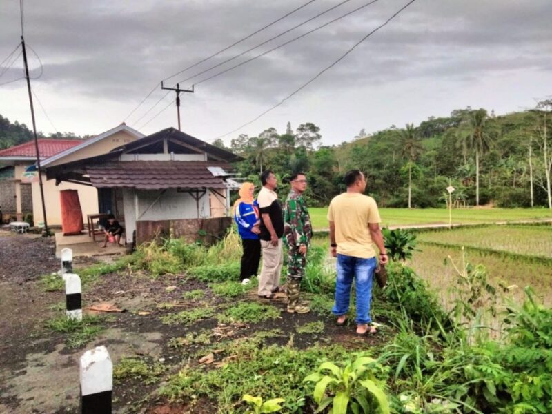 Babinsa Dampingi Ketahanan Pangan desa BojongJengkol 1 Babinsa Dampingi Ketahanan Pangan desa BojongJengkol