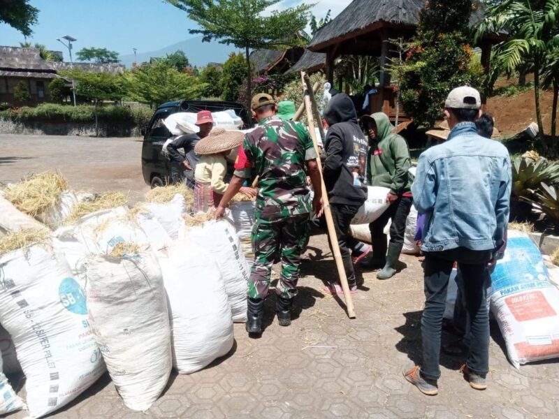 Babinsa Dampingi Kegiatan Ketahanan Pangan di Desa Bangbayang 2