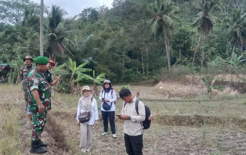 Babinsa Koramil 2212/Tegalbuleud Laksanakan Pendampingan Hanpangan di Desa Calingcing 1 Babinsa Koramil 2212/Tegalbuleud Laksanakan Pendampingan Hanpangan di Desa Calingcing