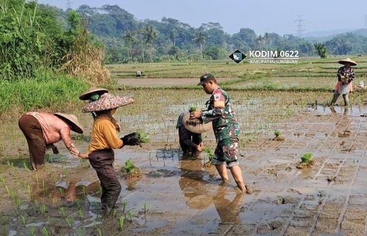 Mengenal Babinsa: Garda Terdepan Pertahanan dan Mitra Strategis Desa 1