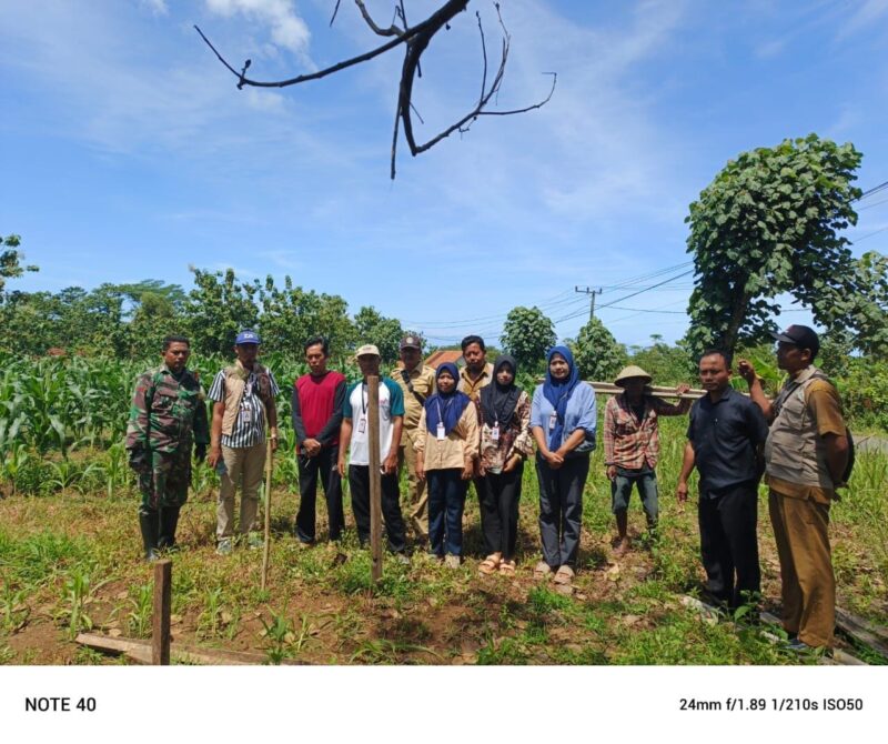 Babinsa Koramil 2214/Surade Dampingi Penyuluhan Pertanian di Desa Ujung Genteng 2