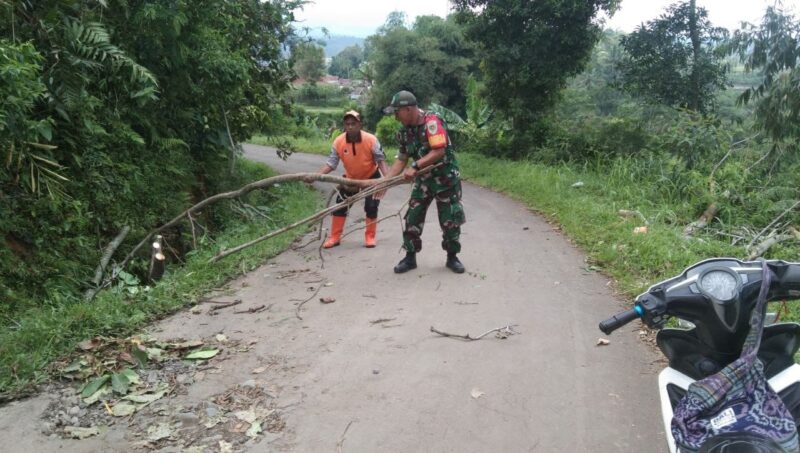 Two people clearing debris from road.