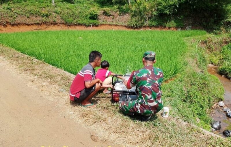 Babinsa Koramil 2209/Lengkong Laksanakan Pendampingan Ketahanan Pangan