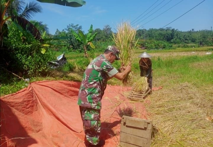 bintahwil Babinsa Koramil 2210/Pabuaran Laksanakan Pendampingan Ketahanan Pangan