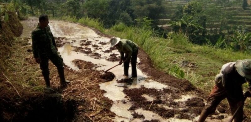 PENDAMPINGAN BABINSA 2211/SAGARANTEN KEPADA KELOMPOK TANI DI DESA CIPAMINGKIS