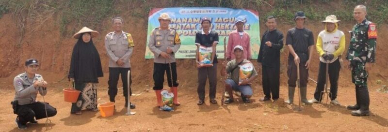 BABINSA KORAMIL 2209/LENGKONG HADIRI PENANAMAN JAGUNG SERENTAK 750 HEKTAR