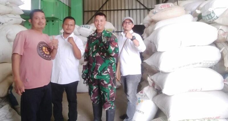 Babinsa Koramil 2214/Surade Laksanakan Pendampingan Sergab Gabah di Desa Waluran 1 BABINSA KORAMIL 2214/SURADE LAKSANAKAN PENDAMPINGAN SERGAB GABAH DI DESA WALURAN