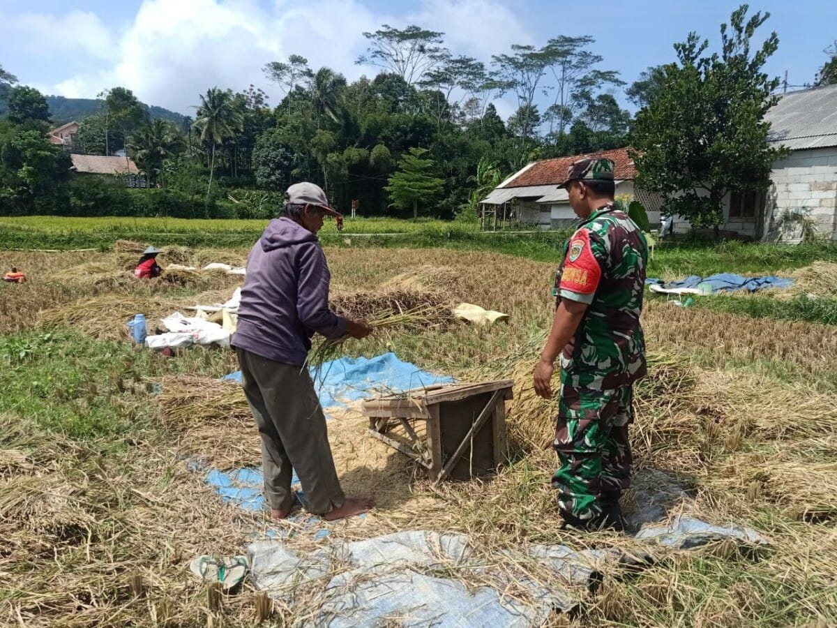 Babinsa Koramil 2208/Nyalindung Laksanakan Pendampingan Ketahanan Pangan 1 Babinsa Koramil 2208/Nyalindung Laksanakan Pendampingan Ketahanan Pangan