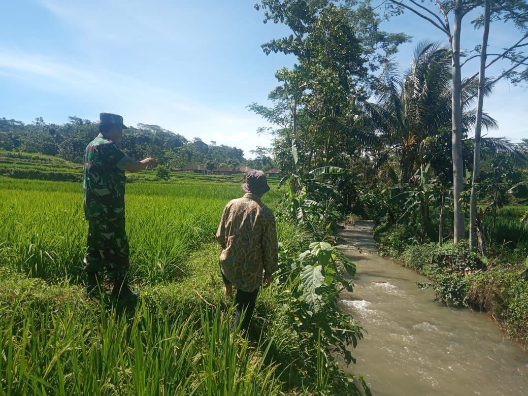 Babinsa Koramil 2213/Jampangkulon Laksanakan Pendampingan Ketahanan Pangan 1 Babinsa Koramil 2213/Jampangkulon Laksanakan Pendampingan Ketahanan Pangan