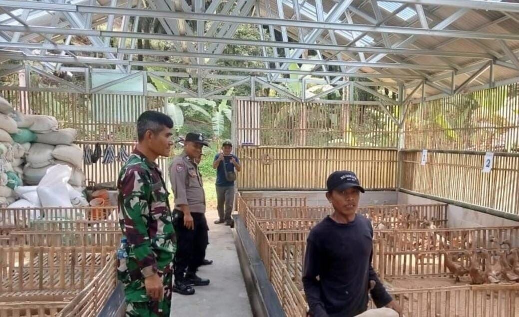 Babinsa Koramil 2204/Cikidang Laksanakan Pengecekan Program Ketahanan Pangan 1 Babinsa Koramil 2204/Cikidang Laksanakan Pengecekan Program Ketahanan Pangan