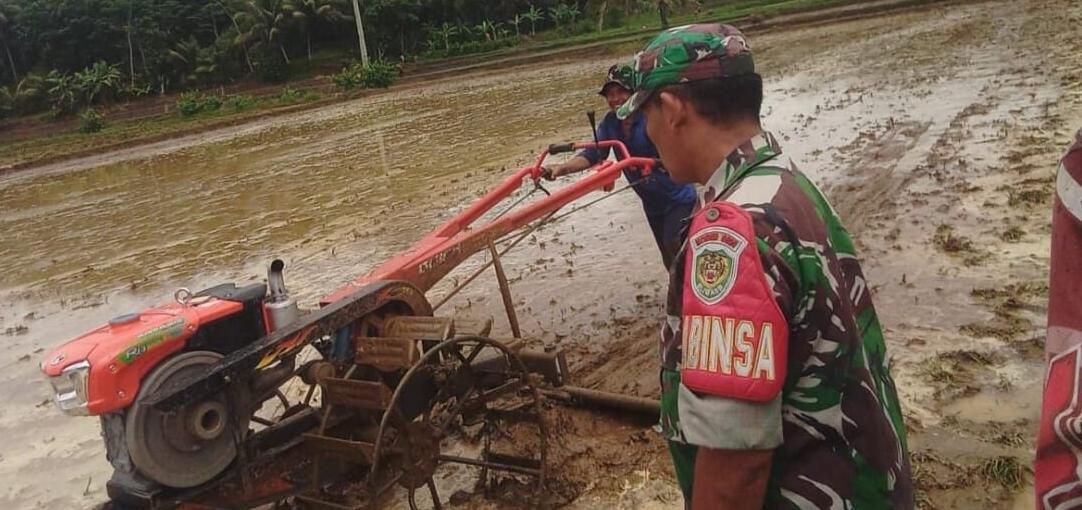 Babinsa Koramil 2212/Tegalbuleud Laksanakan Pendampingan Hanpangan di Desa Sumberjaya 1 BABINSA KORAMIL 2212/TEGALBULEUD LAKSANAKAN PENDAMPINGAN HANPANGAN DI DESA SUMBERJAYA