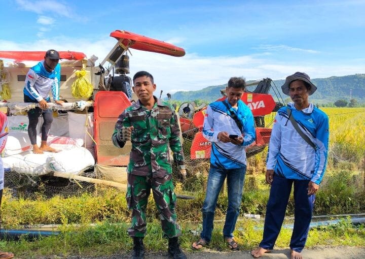 BABINSA KORAMIL 2215/CIEMAS LAKSANAKAN PENDAMPINGAN SERGAB BULOG DI DESA CIWARU 5