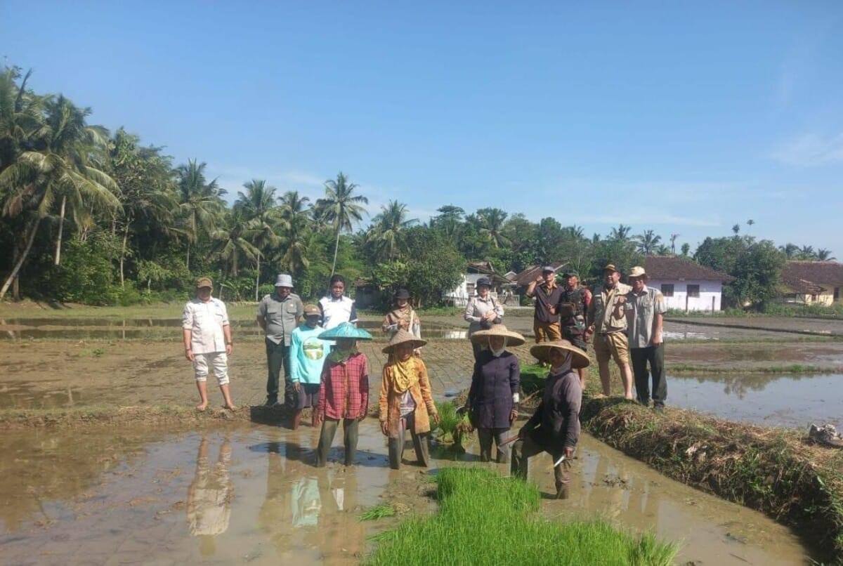 Babinsa Koramil 2207/Jampangtengah Laksanakan Pendampingan Hanpangan di Desa Padabeunghar 8