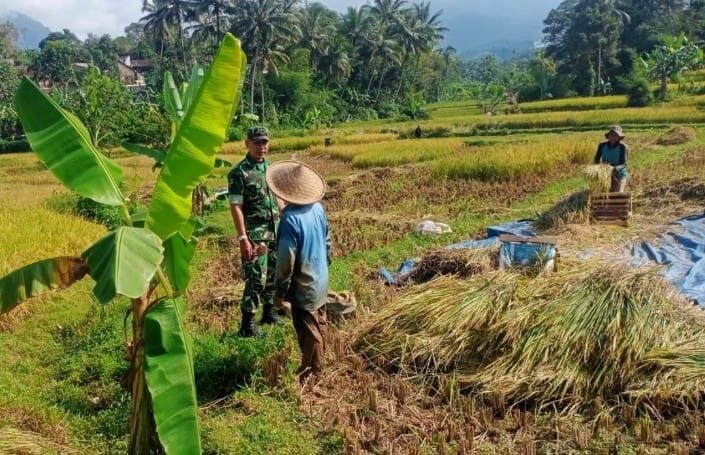 BABINSA KORAMIL 2206/PARAKANSALAK LAKSANAKAN PENDAMPINGAN KETAHANAN PANGAN DI DESA SUKATANI 1 BABINSA KORAMIL 2206/PARAKANSALAK LAKSANAKAN PENDAMPINGAN KETAHANAN PANGAN DI DESA SUKATANI
