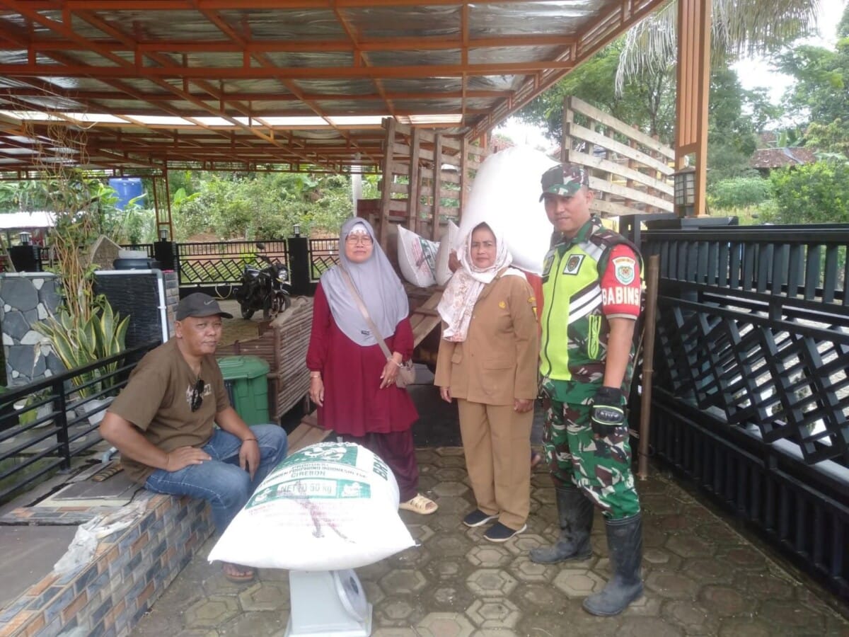 BABINSA KORAMIL 2214/SURADE LAKSANAKAN PENDAMPINGAN PROGRAM SERAP GABAH DI DESA SUKAMUKTI