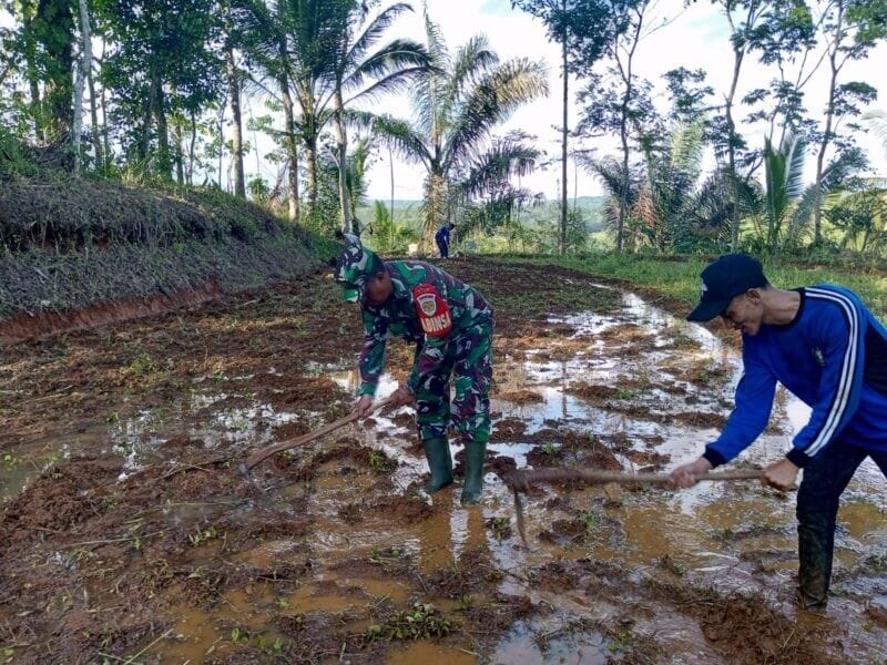 BABINSA KORAMIL 2209/LENGKONG LAKSANAKAN PENDAMPINGAN KETAHANAN PANGAN DI DESA LENGKONG 11
