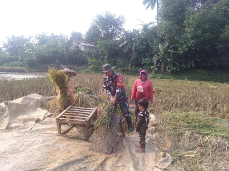 Babinsa Koramil 2214/Surade Laksanakan Pendampingan Ketahanan Pangan di Desa Sukamukti 1 Babinsa Koramil 2214/Surade Laksanakan Pendampingan Ketahanan Pangan di Desa Sukamukti