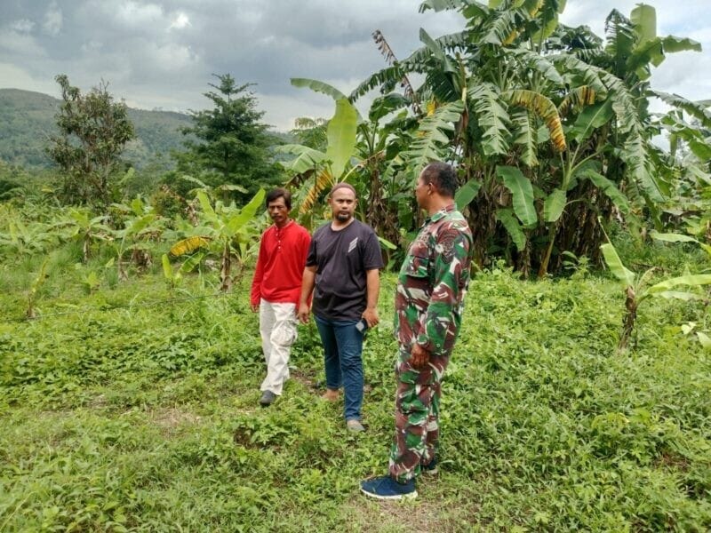 Babinsa Koramil 2202/Palabuhanratu Laksanakan Pengecekan Lahan Koperasi di Desa Cikadu 1 Babinsa Koramil 2202/Palabuhanratu Laksanakan Pengecekan Lahan Koperasi di Desa Cikadu