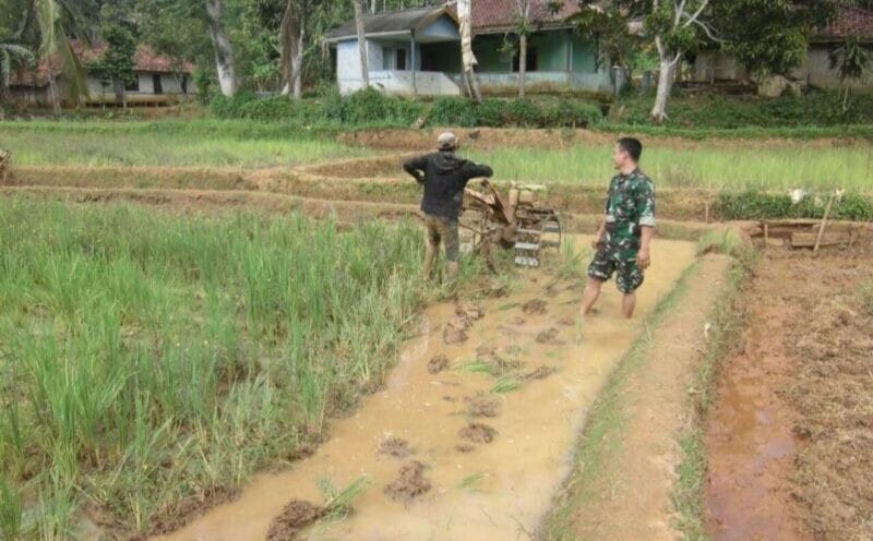 Babinsa Koramil 2209/Lengkong Dampingi Kegiatan Ketahanan Pangan di Desa Langkapjaya 1 Babinsa Koramil 2209/Lengkong Dampingi Kegiatan Ketahanan Pangan di Desa Langkapjaya
